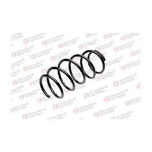 ST 124 080 F STANDARD SPRINGS
