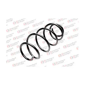 ST 134 079 F STANDARD SPRINGS