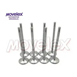 M04640 Movelex