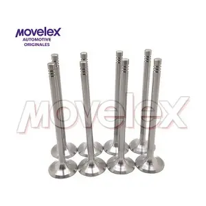 M04641 Movelex