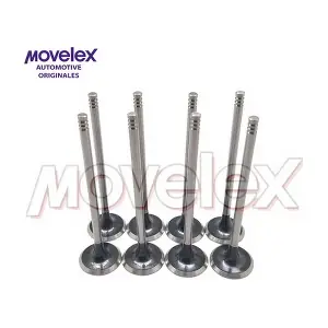 M04645 Movelex