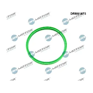 Dr.Motor Automotive DRM01675