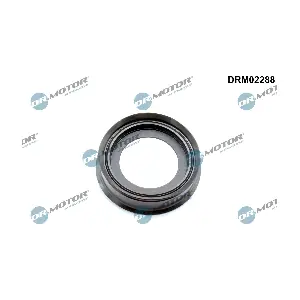 DRM02288 Dr.Motor Automotive