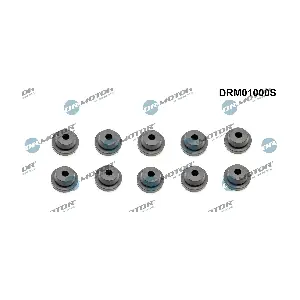 DRM01000S Dr.Motor Automotive