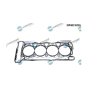 DRM21255 Dr.Motor Automotive