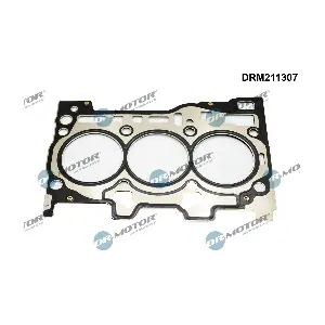 DRM211307 Dr.Motor Automotive