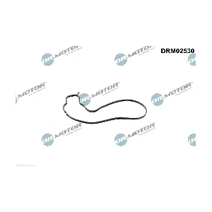 DRM02530 Dr.Motor Automotive