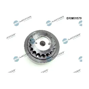 DRM01579 Dr.Motor Automotive