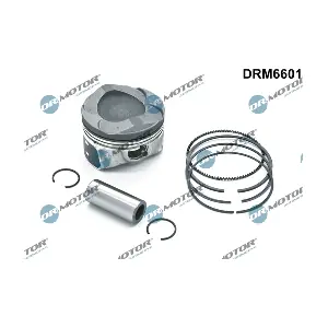 DRM6601 Dr.Motor Automotive