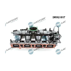 DRM21817 Dr.Motor Automotive