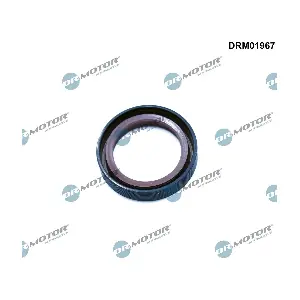 Dr.Motor Automotive DRM01967