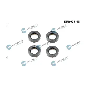DRM02515S Dr.Motor Automotive