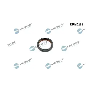 Dr.Motor Automotive DRM02681