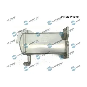 DRM211125C Dr.Motor Automotive