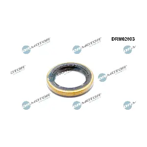 DRM02803 Dr.Motor Automotive
