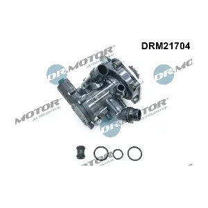 DRM21704 Dr.Motor Automotive