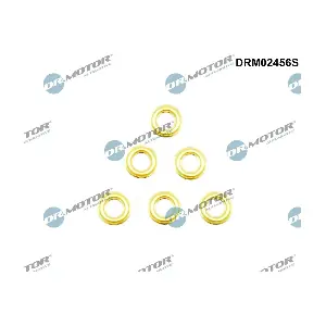 DRM02456S Dr.Motor Automotive