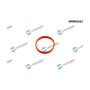 DRM02921 Dr.Motor Automotive