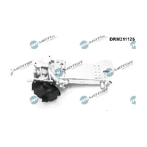 DRM211125 Dr.Motor Automotive