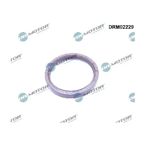DRM02229 Dr.Motor Automotive