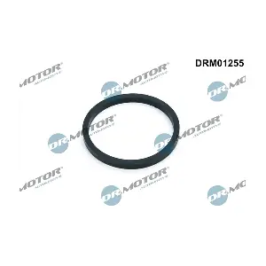 DRM01255 Dr.Motor Automotive