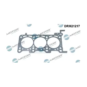 DRM21217 Dr.Motor Automotive