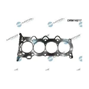 DRM10217 Dr.Motor Automotive