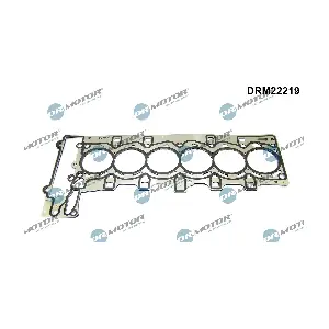 DRM22219 Dr.Motor Automotive