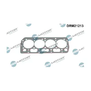 DRM21213 Dr.Motor Automotive