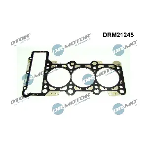 DRM21245 Dr.Motor Automotive