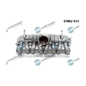 DRM21813 Dr.Motor Automotive