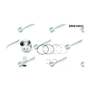 DRM18603 Dr.Motor Automotive