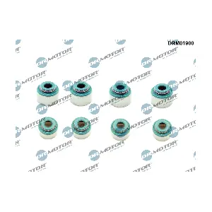 Dr.Motor Automotive DRM01900