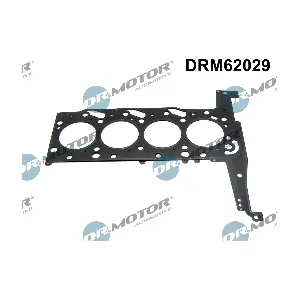 DRM62029 Dr.Motor Automotive