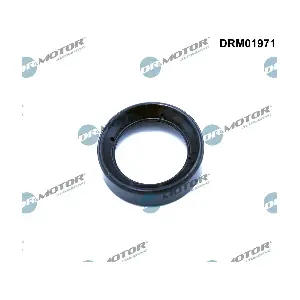 DRM01971 Dr.Motor Automotive