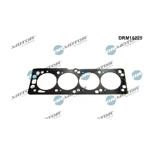 DRM15225 Dr.Motor Automotive