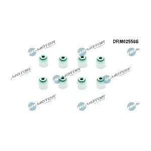 Dr.Motor Automotive DRM02556S