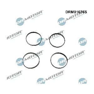 DRM01676S Dr.Motor Automotive