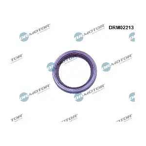 Dr.Motor Automotive DRM02213
