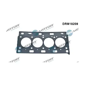 DRM18209 Dr.Motor Automotive