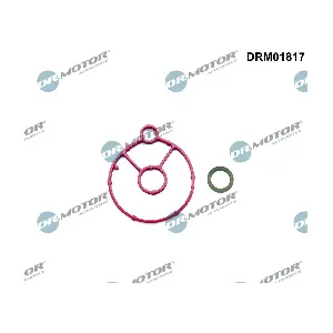 DRM01817 Dr.Motor Automotive