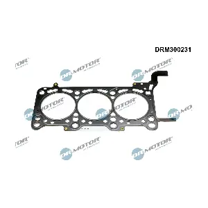 DRM300231 Dr.Motor Automotive