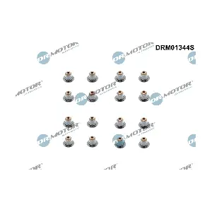 Dr.Motor Automotive DRM01344S