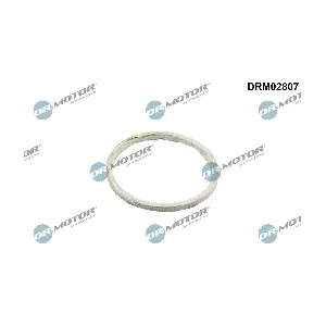 DRM02807 Dr.Motor Automotive