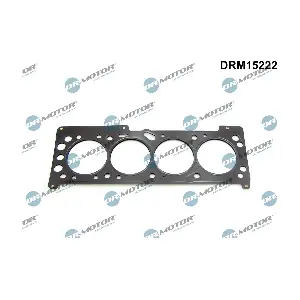 DRM15222 Dr.Motor Automotive