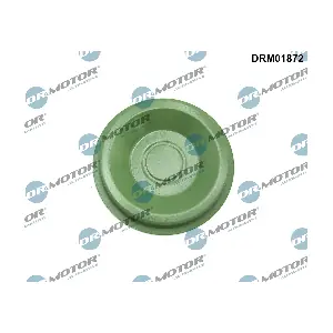DRM01872 Dr.Motor Automotive