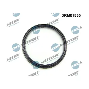 DRM01850 Dr.Motor Automotive