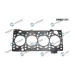 DRM21251 Dr.Motor Automotive