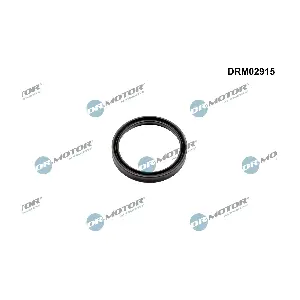 Dr.Motor Automotive DRM02915