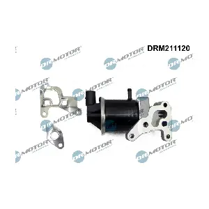 Dr.Motor Automotive DRM211120